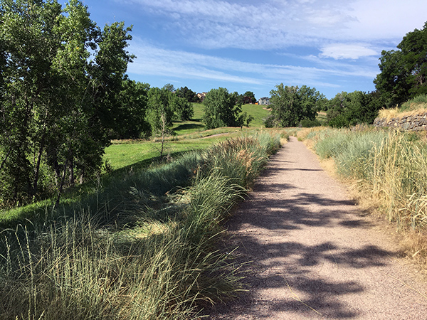 A trail with tall grass and trees in the background.