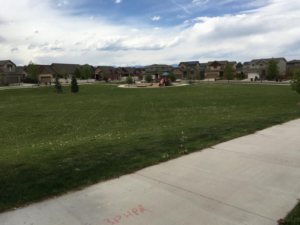 A sidewalk and grass field in front of a playground.